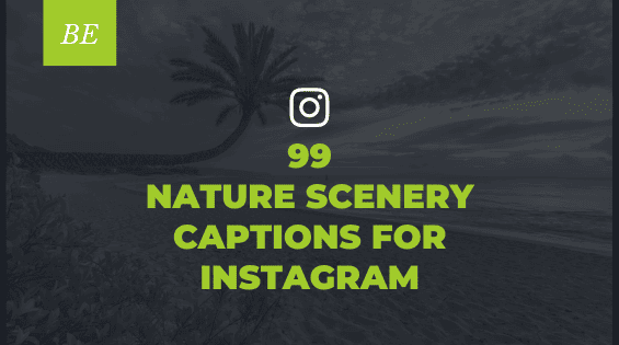 Want Stand Out Captions for Nature Pictures on Instagram? Take a Look at These Inspiring Options!