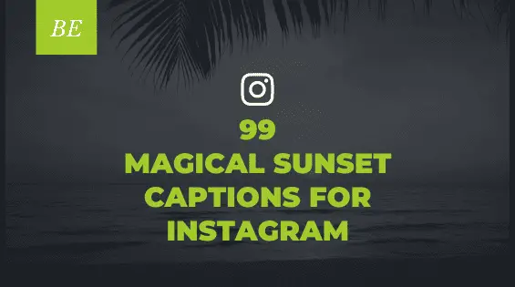 Searching for the Perfect Way to Describe Sunset Vibes? Discover Insta Worthy Captions & Quotes!!