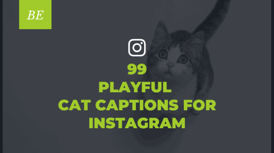 Stuck on Finding the Purr-Fect Cat Captions? Try Out Creative Options!