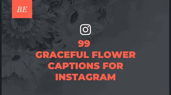 Can’t Find the Right Words to Post Your Flower Pics? Use These Enchanting Flower Captions!