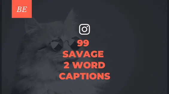 Want to Ace the Social Media Game? Discover Savage Two Word Captions!