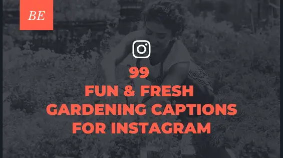 Can’t Find the Right Words for Your Gardening Posts? Try These Insta Caption Suggestions!