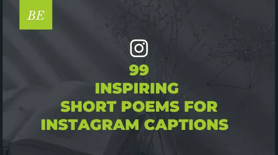 Searching For Inspiring Poetic Instagram Captions? Use My Tiny Verses :)